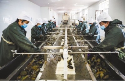 大連市 做強優勢農業產業，筑牢鄉村振興之基